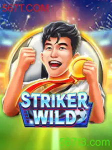 Descubra o Mundo de StrikerWILD: A Nova Sensação do Entretenimento Digital